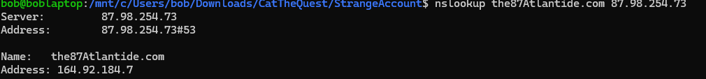 ns lookup
