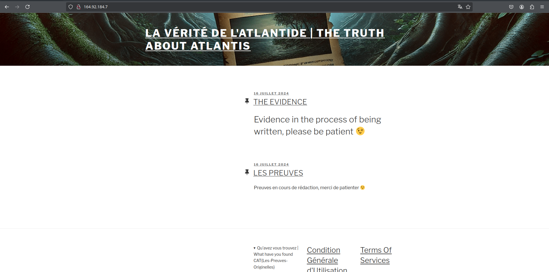website